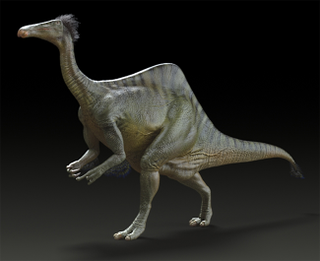 Illustration for article titled El dinosaurio de "brazos" gigantes ya tiene cuerpo 50 años después